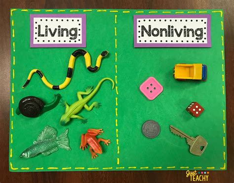 living and non living project.
